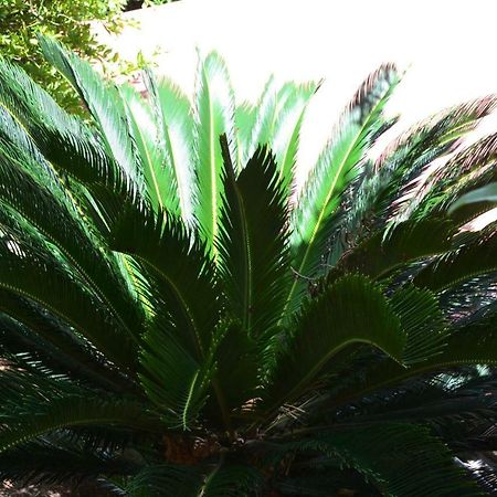 Villa Bonheur & Co _ Spa Riviere-Salee 外观 照片